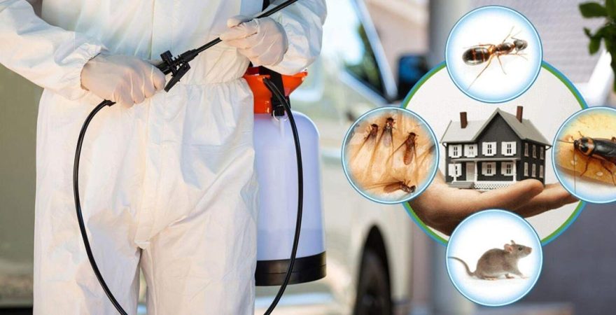 Develi Böcek İlaçlama