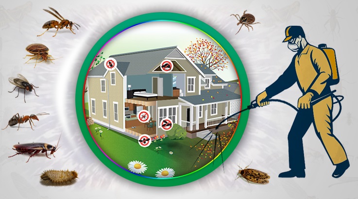 Develi Böcek İlaçlama