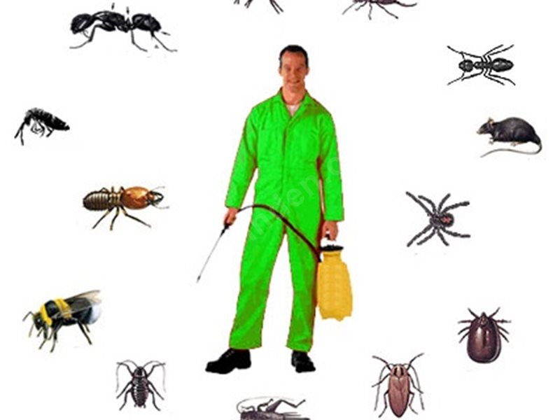 Develi Böcek İlaçlama